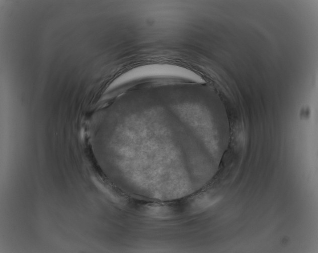 X0000091890284200710031809
