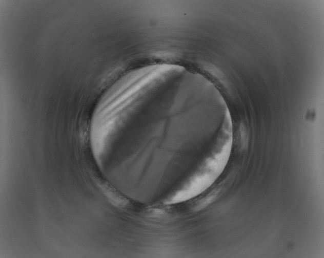 X0000091890285200710031809