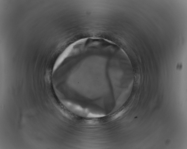 X0000091890286200710031809