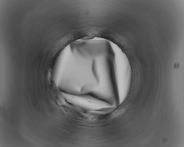 X0000091890288200710031809