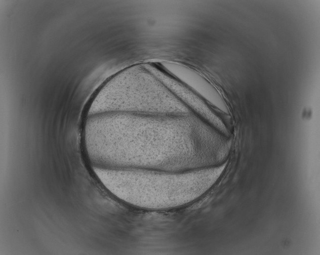 X0000091890290200710031808