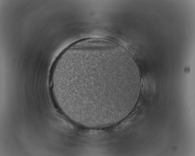 X0000091890292200710031808