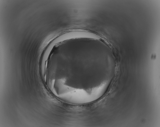 X0000091890293200710031808