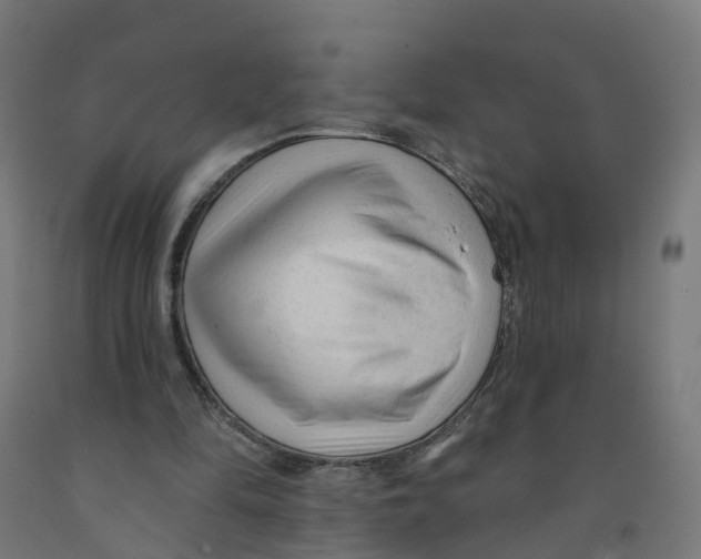 X0000091890294200710031808