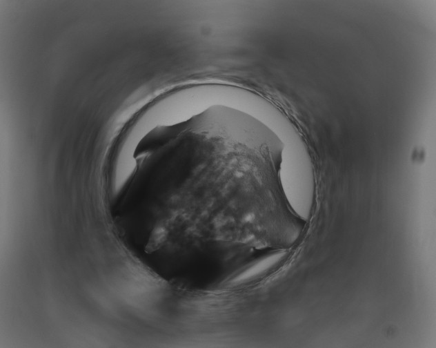 X0000091890295200710031808