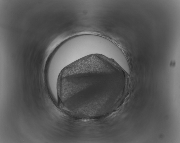 X0000091890296200710031808
