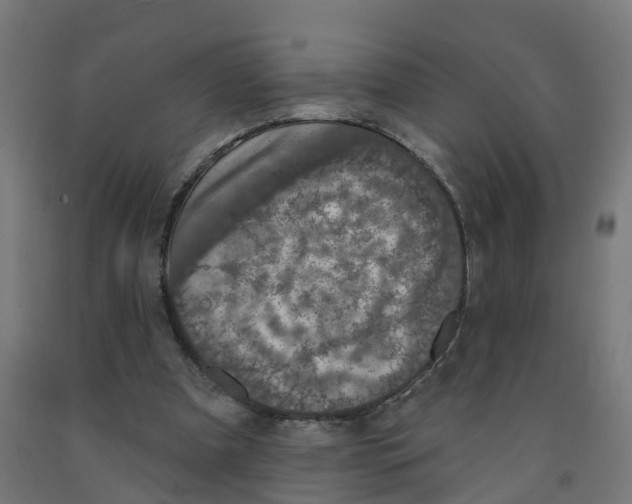 X0000091890297200710031808