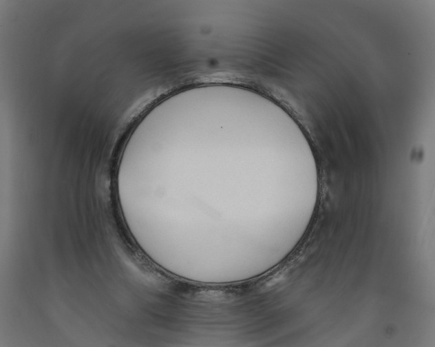 X0000091890298200710031808