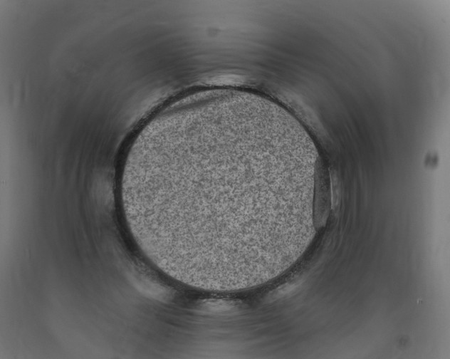 X0000091890300200710031808
