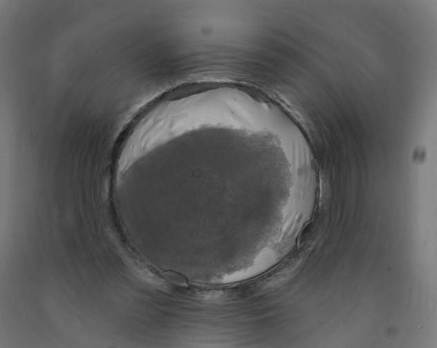 X0000091890301200710031808