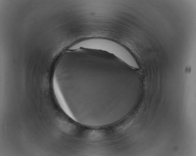 X0000091890303200710031808