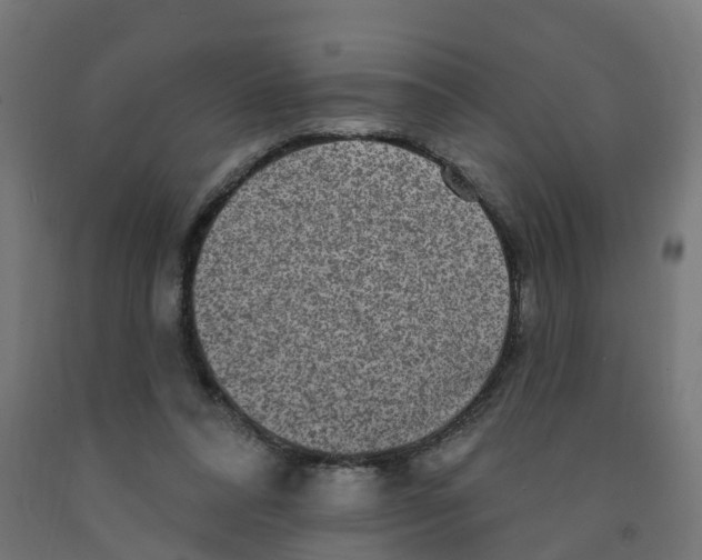 X0000091890304200710031808