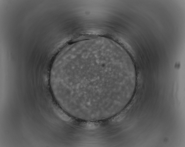 X0000091890305200710031808