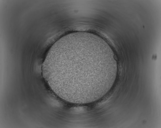 X0000091890307200710031808