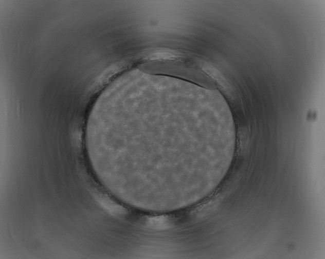 X0000091890309200710031808