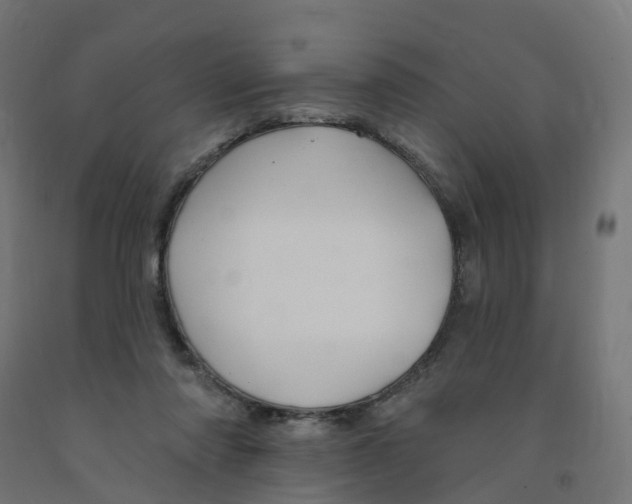 X0000091890310200710031808