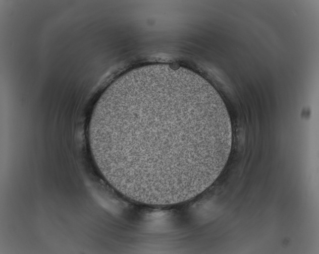 X0000091890312200710031808