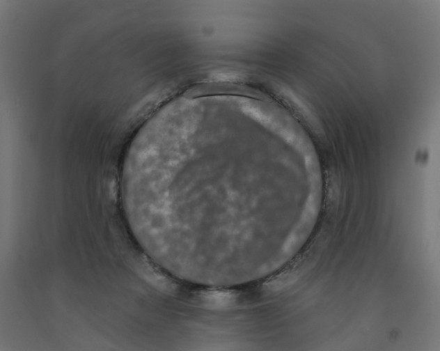 X0000091890313200710031808