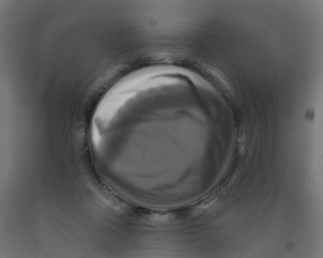 X0000091890314200710031808