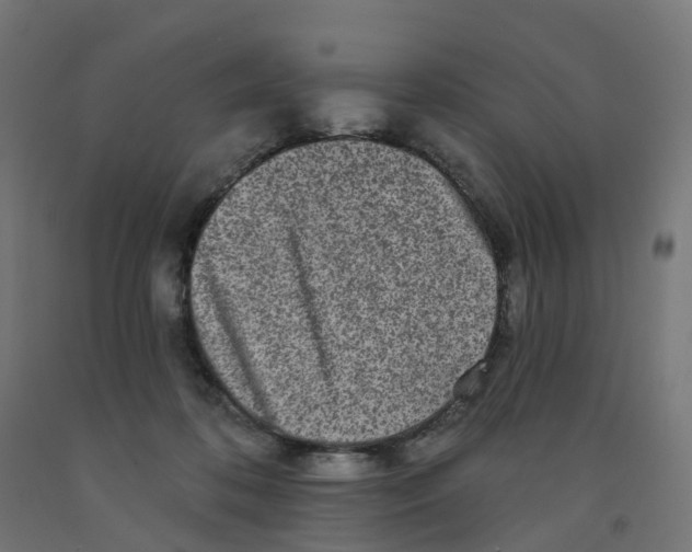 X0000091890316200710031808