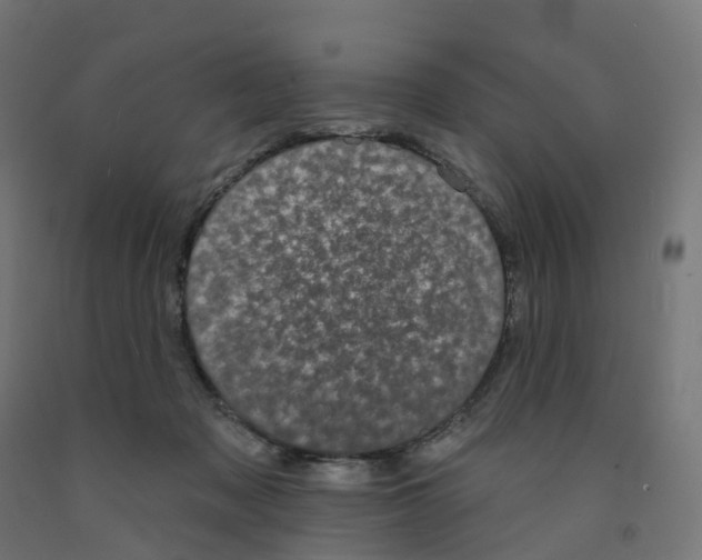 X0000091890317200710031808