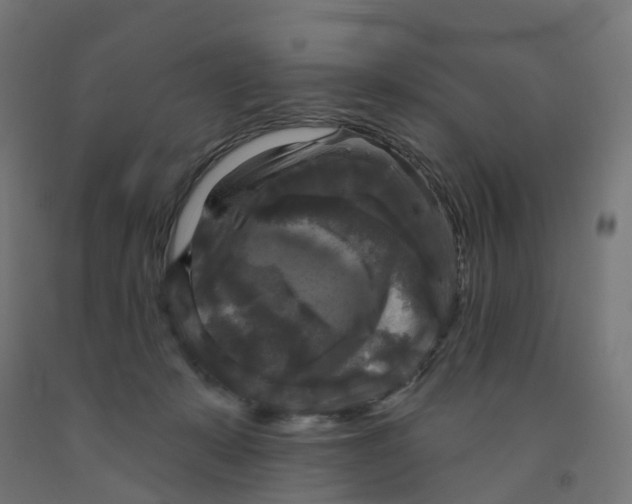 X0000091890319200710031808