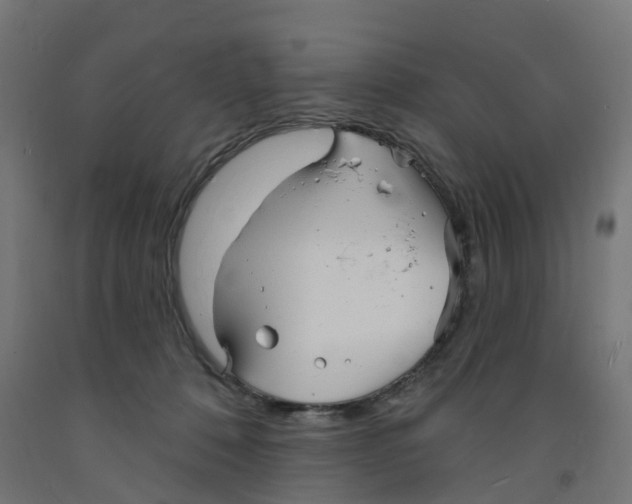 X0000091890320200710031808