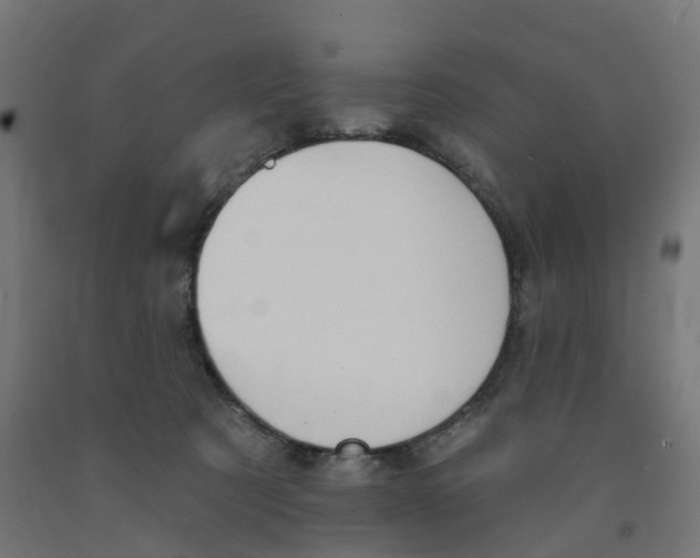 X0000091890321200710031808