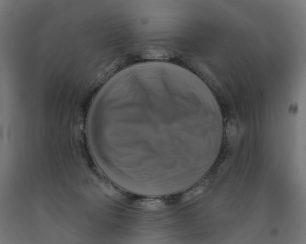 X0000091890322200710031808