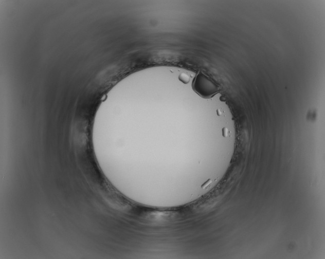 X0000091890323200710031808