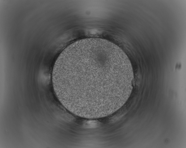 X0000091890324200710031808
