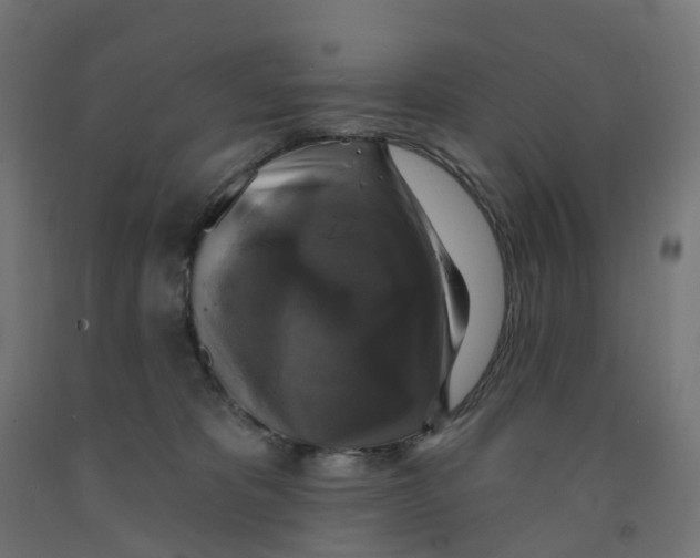 X0000091890325200710031808
