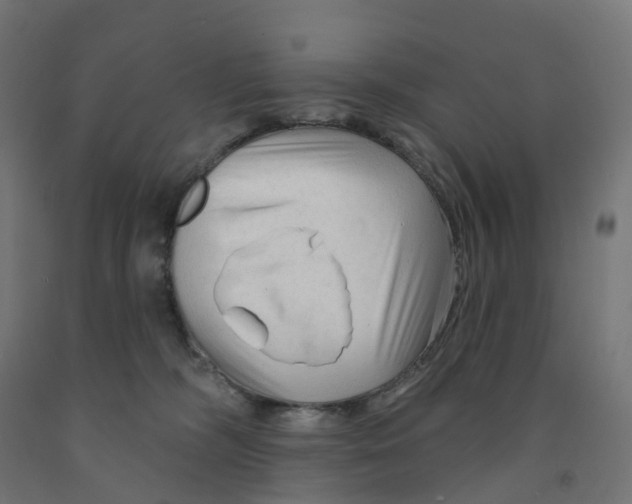 X0000091890326200710031808