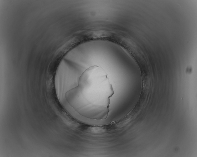 X0000091890327200710031808