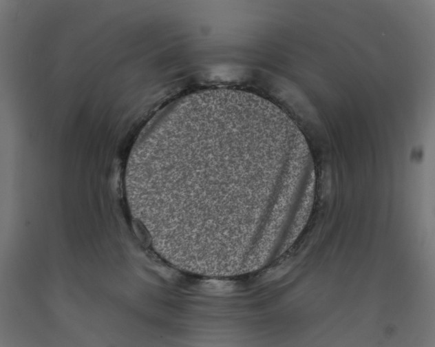 X0000091890328200710031808