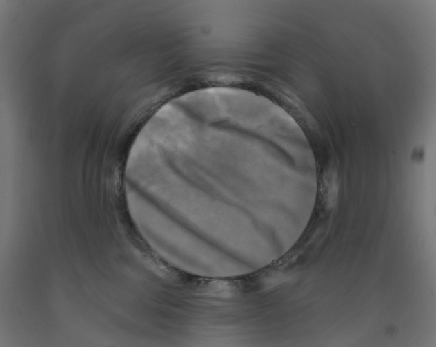 X0000091890330200710031808