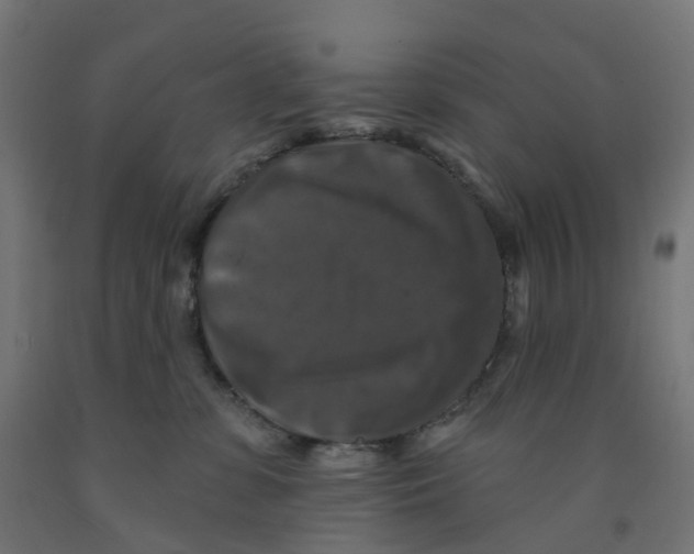 X0000091890331200710031807