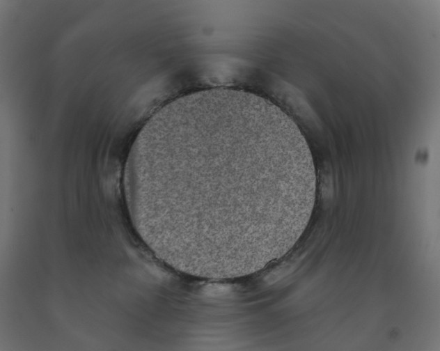 X0000091890332200710031807