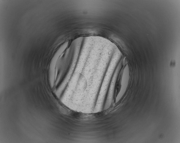X0000091890333200710031807