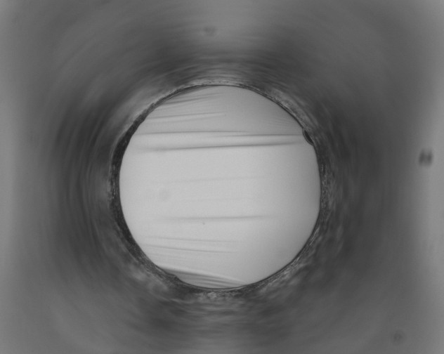 X0000091890338200710031807