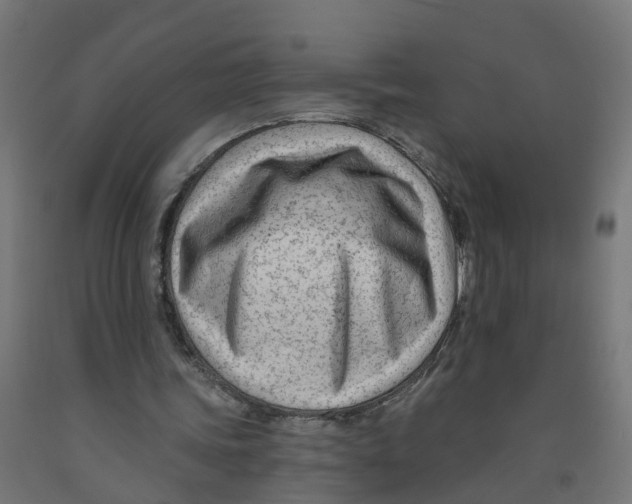 X0000091890339200710031807