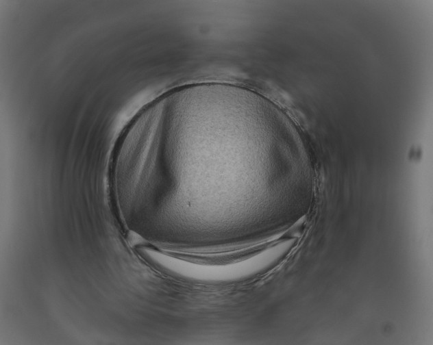X0000091890340200710031807