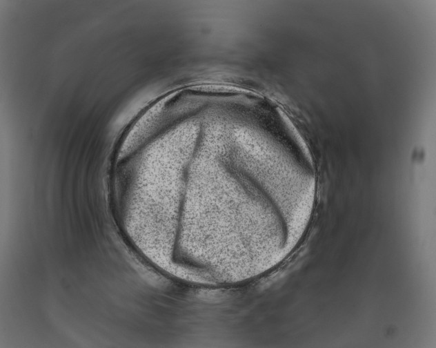 X0000091890341200710031807