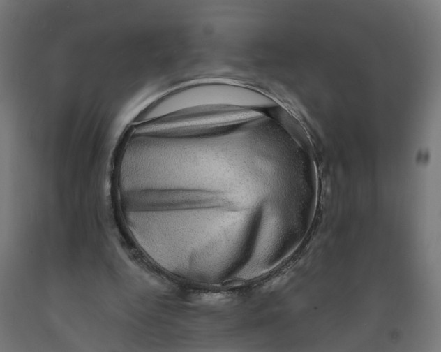 X0000091890344200710031807