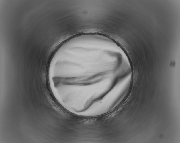 X0000091890345200710031807