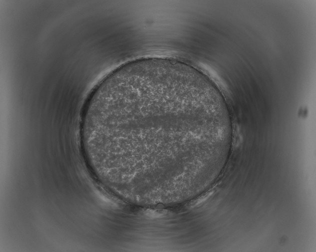 X0000091890346200710031807