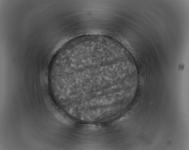 X0000091890347200710031807