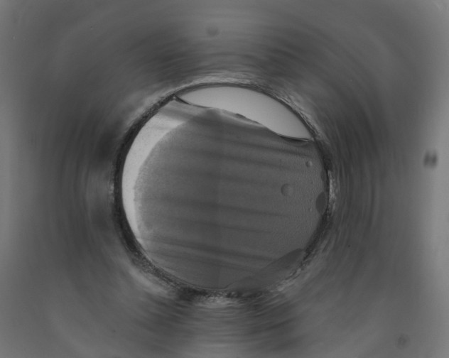 X0000091890348200710031807