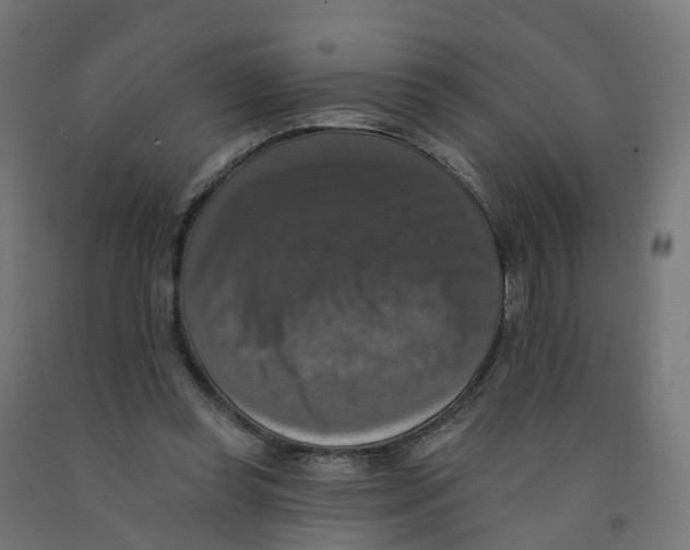X0000091890349200710031807