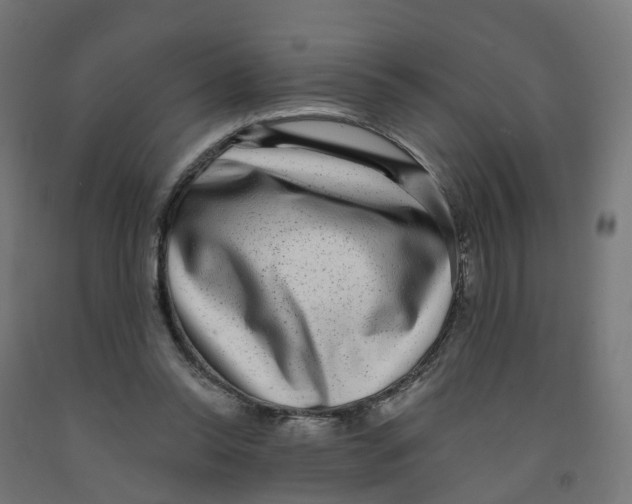 X0000091890350200710031807